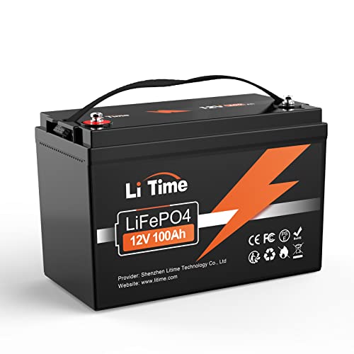 12V 100Ah LiFePO4 Battery with Built-in 100A BMS D2856