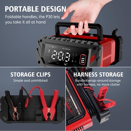 20 Amp Lithium Battery Charger, 12V and 24V LiFePO4, Lead-Acid Portable Car Battery Charger A814524