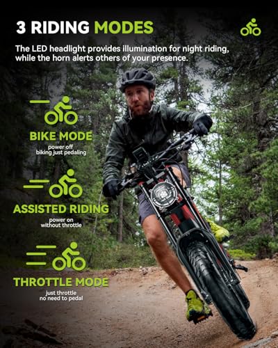 Electric Dirt Bike for Adults 20 Inch Fat Tire Off Road Q2594