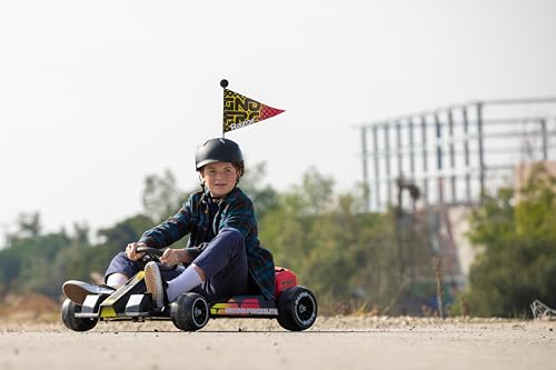 Electric Go-Kart for Ages 13+, 14 MPH, 40 Min Run Time, 350W Motor G120
