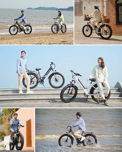 Electric Bike for Adults 750W 28mph with Removable Battery and Fat Tire W3858