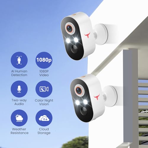 Wireless Security Camera 2 Pack, 1080p Wi-Fi Outdoor, Color Night Vision, Motion Detection X954