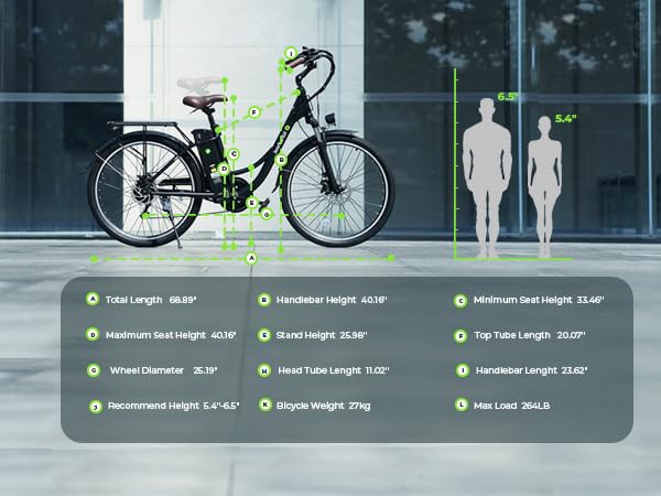 Electric Bike for Adults 750W 28mph with Removable Battery and Fat Tire W3858