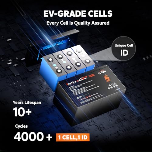 12V 100Ah LiFePO4 Battery with Built-in 100A BMS D2856