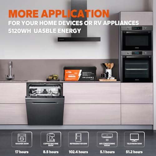 12V 100Ah LiFePO4 Battery with Built-in 100A BMS D2856